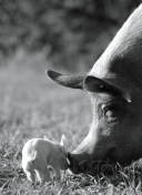 武道风云2战斗系统深度解析